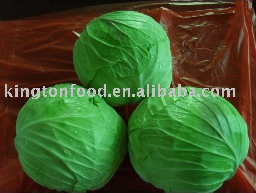 Round Cabbage