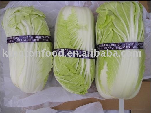 Celery Cabbage