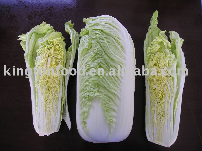 Chinese Cabbage