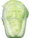 Cabbage (potato and tomato)