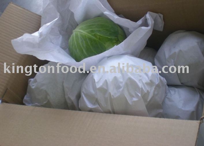 Fresh Green Cabbage