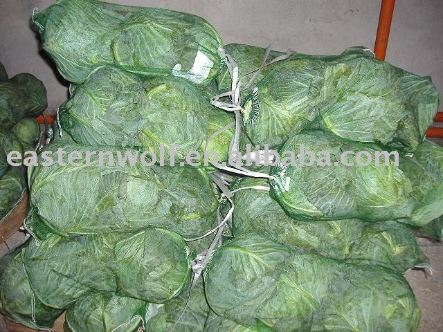China Fresh Cabbage in Mesh Bag Package, MOQ:1*40 FCL