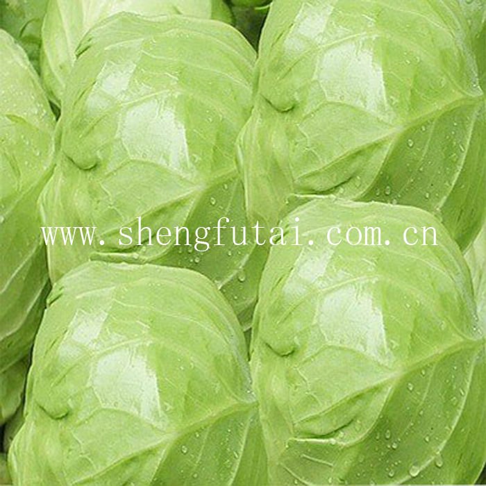 white cabbage