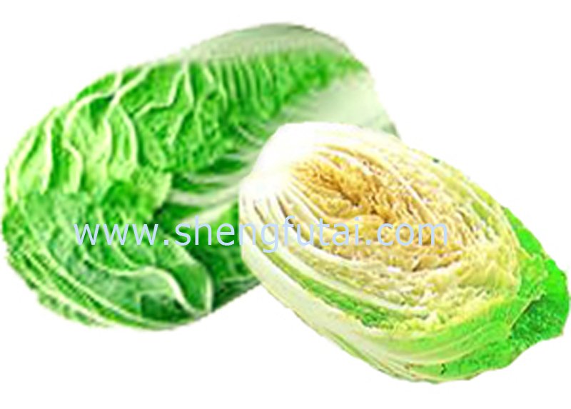  fresh  chinese cabbage (little   fiber )