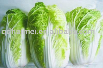 2010 fresh cabbage
