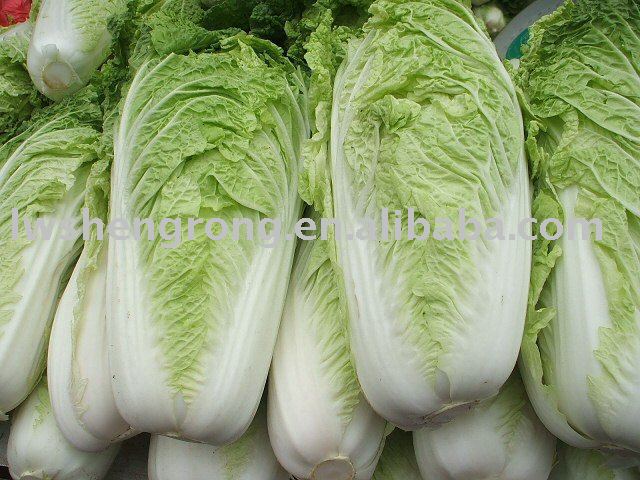 green cabbage,fresh cabbage,2010 cabbage