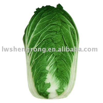 green cabbage,fresh chinese cabbage,2010 cabbage