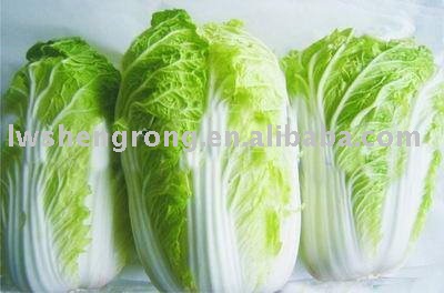 green cabbage,chinese cabbage,fresh cabbage