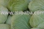 fresh red cabbage