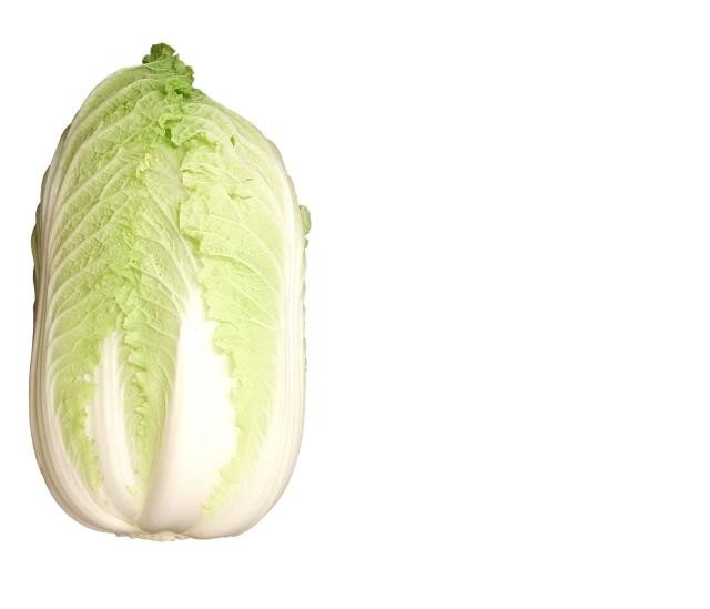 fresh vegetables: CABBAGE NAPPA