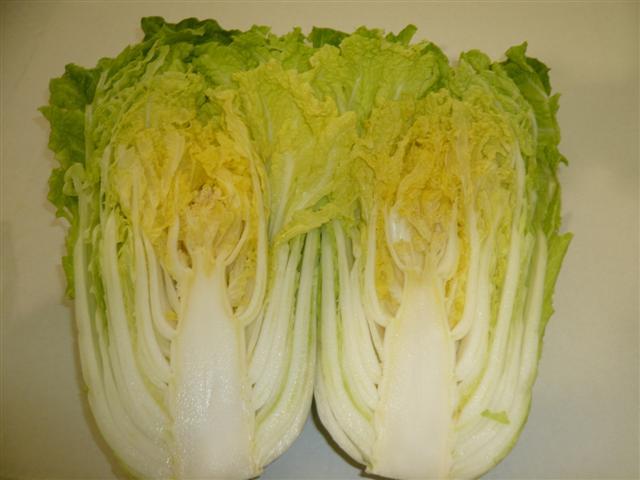 Chinese cabbage