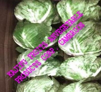 Cabbages