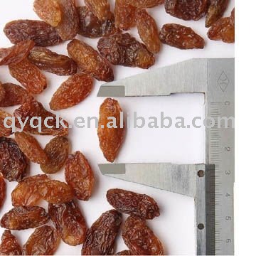 Red raisin dried