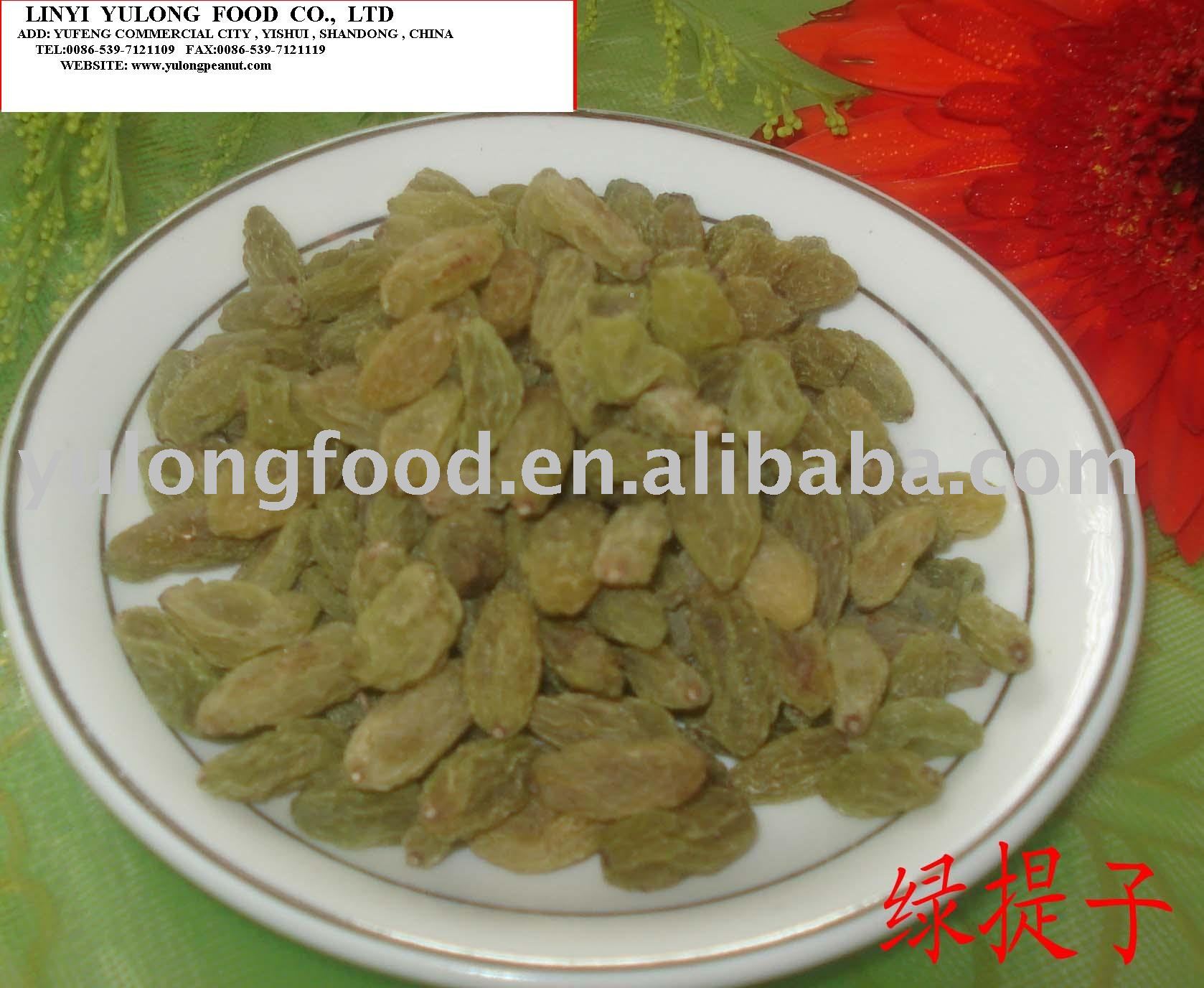 chinese long shap green raisins