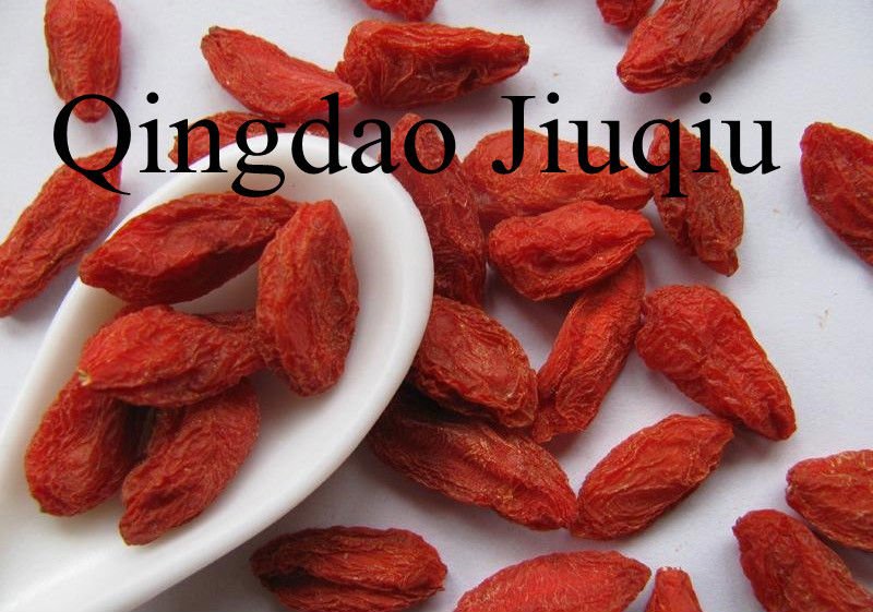 chinese wolfberry fruits