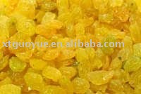 golden raisin