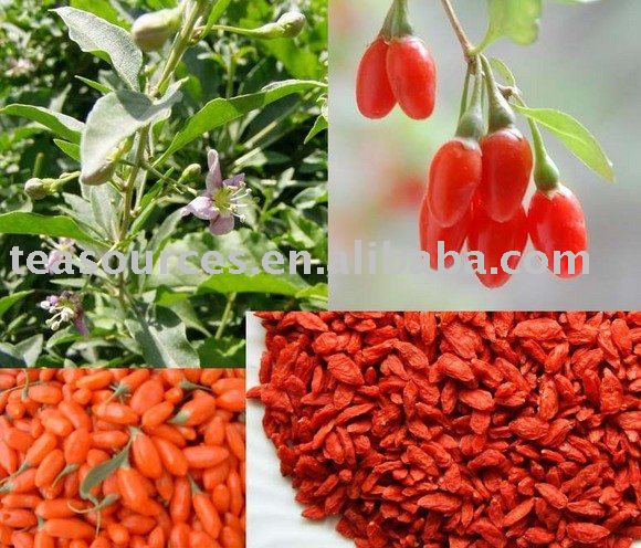 Organic Goji Berry
