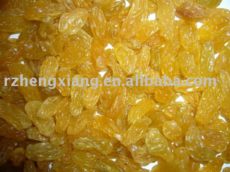 supply golden raisin
