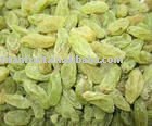green raisin