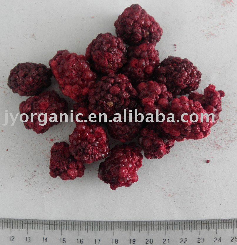 FD Blackberry dried blackberry