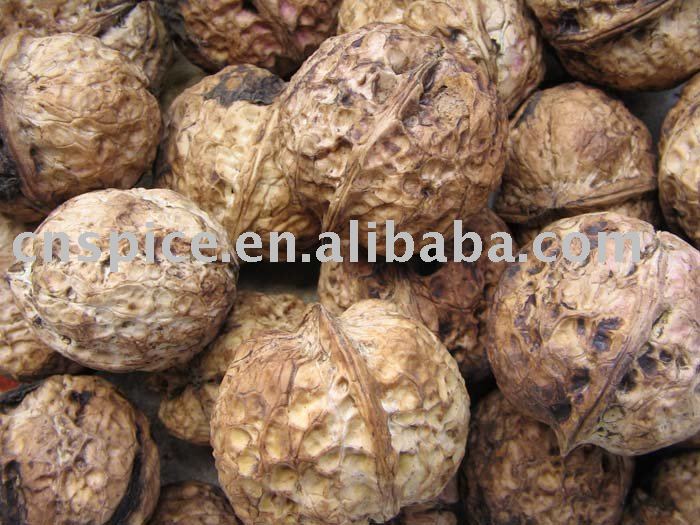 Walnut with shell