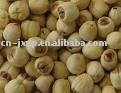 lotus seed
