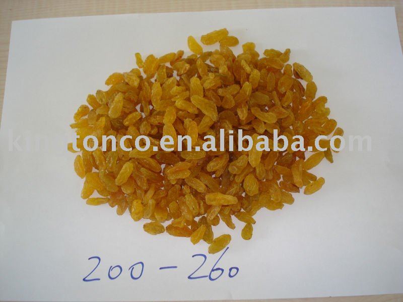 sun dried golden raisin