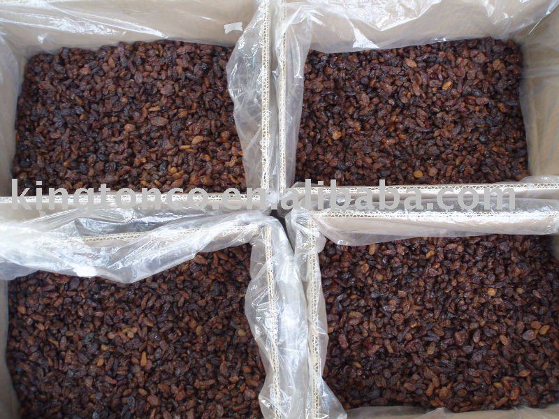  dried   red   raisin 