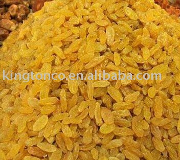 tne best golden Raisin
