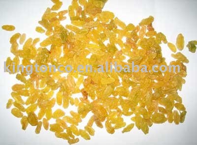 best golden Raisin