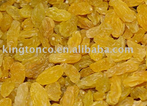 the best quality golden Raisin