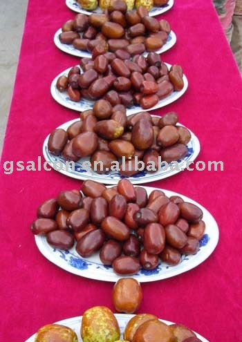North Shaanbei red date