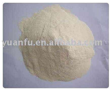 wheat gluten