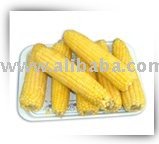 Maize Starch, corn starch, corn, maize