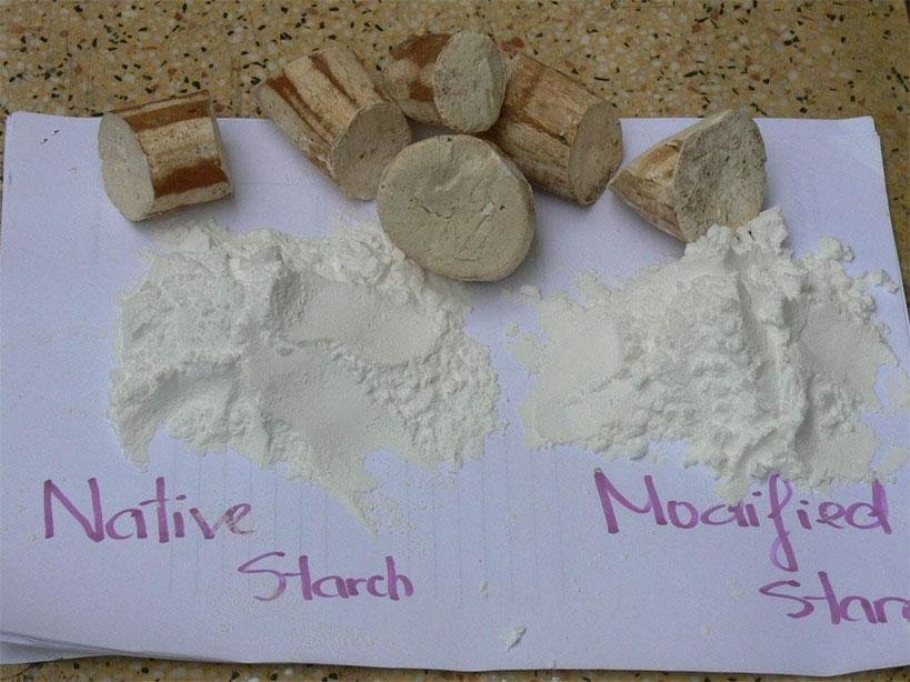 Tapioca Starch