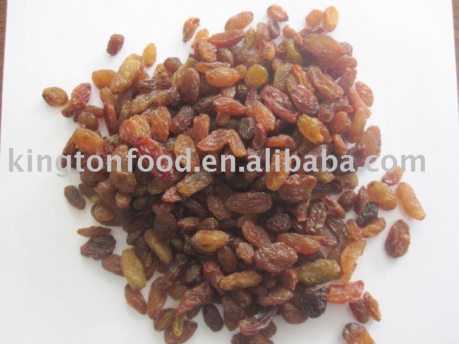Dried red raisin ( Kington fruits)
