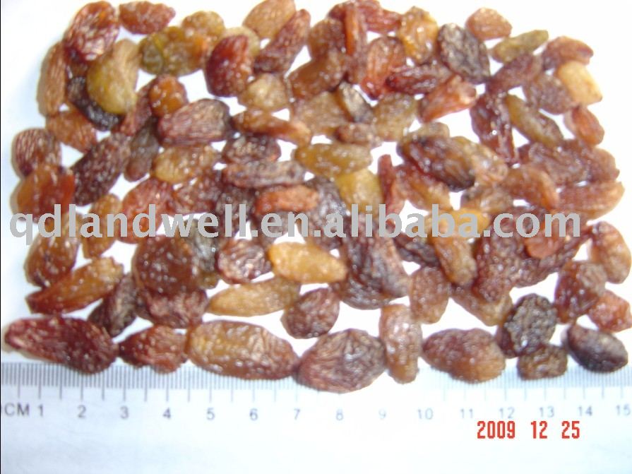 red raisin