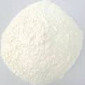 maize starch