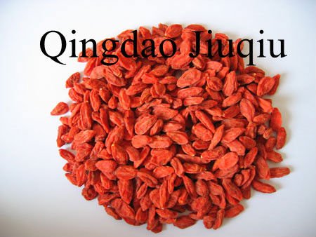 dry wolfberry fruits/goji berry fruits
