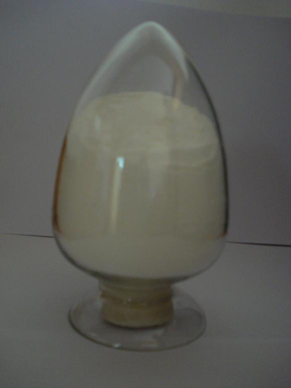 pregelatinized starch