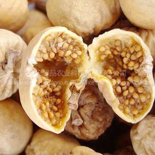 Dired Fig