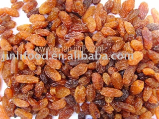  dried   red   raisin 