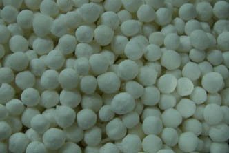  Tapioca   Pearl  ( Sago )