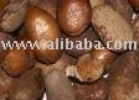 Njangsa seeds