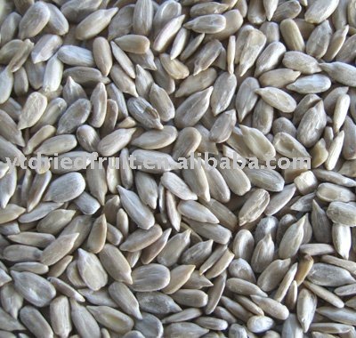 sunflower seeds kernels