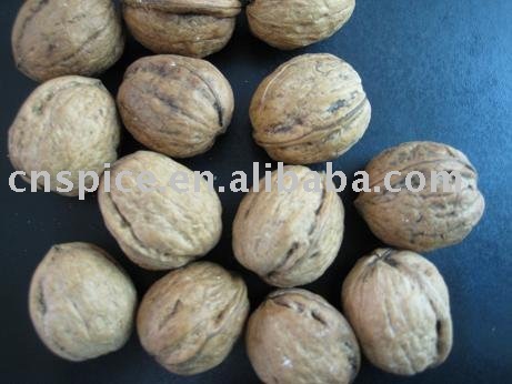 Walnut