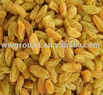 Dried Sultanas-Yellow