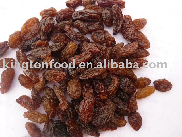 Sultana Raisi