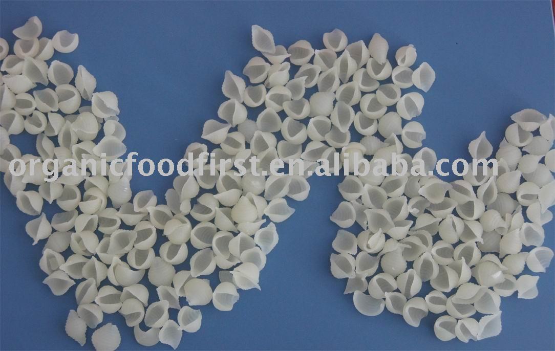 White Shell Macaroni