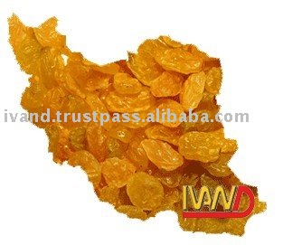 Golden Raisin